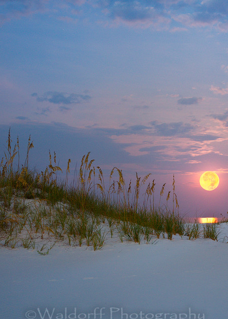 Full moon setting over the Gulf of Mexico near Pensacola Beach, Florida | Fine Art Prints on Canvas, Paper, Metal, & More | Waldorff Photography