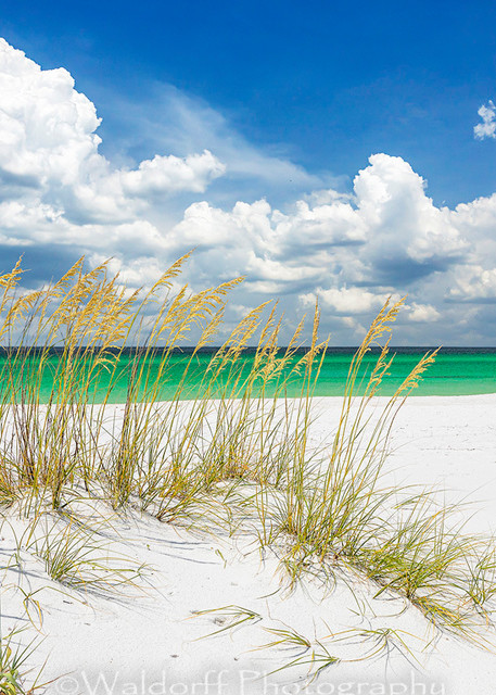 Sea Oats and Beach Umbrella | Destin, Florida | Fine Art Landscape Photography on Canvas, Paper, Metal | Photography by Jeff Waldorff
