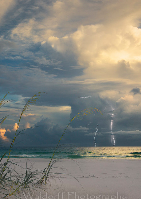 Lightning and Sea Oats | Gulf Islands National Seashore, Florida - Fine Art Prints on Canvas, Paper, Metal, and Acrylic | Waldorff Photography