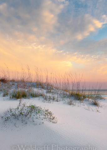 Sand Dune Sunrise| Gulf Islands National Seahsore, Florida | Fine Art Prints on Canvas, Paper, Metal, & More | Waldorff Photography