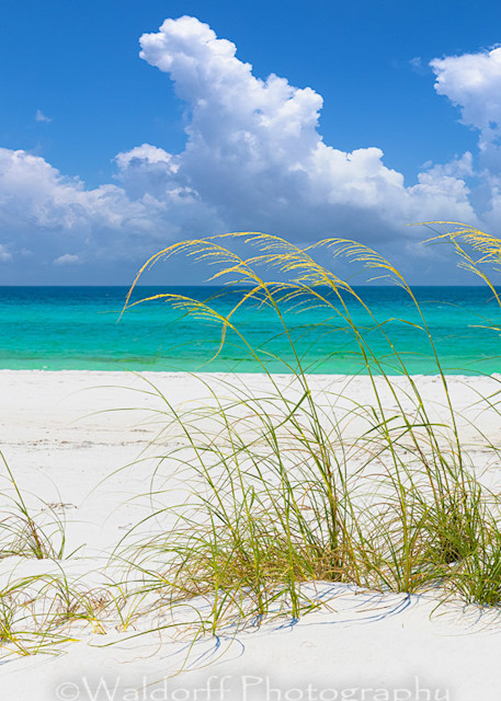 Sea Oats, White Sand, &  Emerald Green Water | Emerald Coast, Florida  | Fine Art Landscape Photography on Canvas, Paper, Metal, Acrylic | Photography by Jeff Waldorff