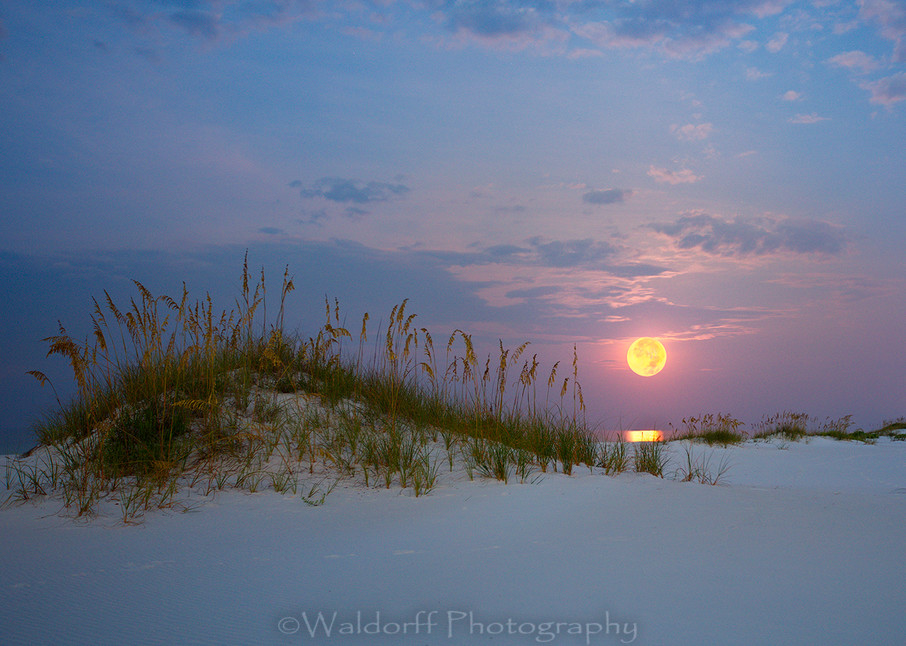 Full moon setting over the Gulf of Mexico near Pensacola Beach, Florida | Fine Art Prints on Canvas, Paper, Metal, & More | Waldorff Photography