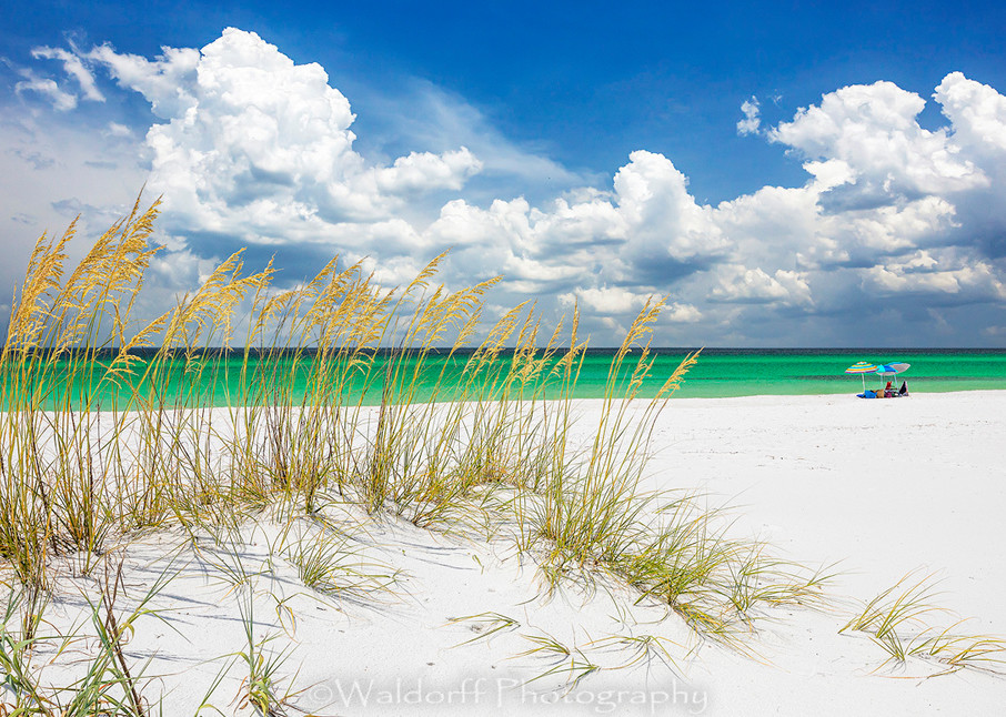 Sea Oats and Beach Umbrella | Destin, Florida | Fine Art Landscape Photography on Canvas, Paper, Metal | Photography by Jeff Waldorff