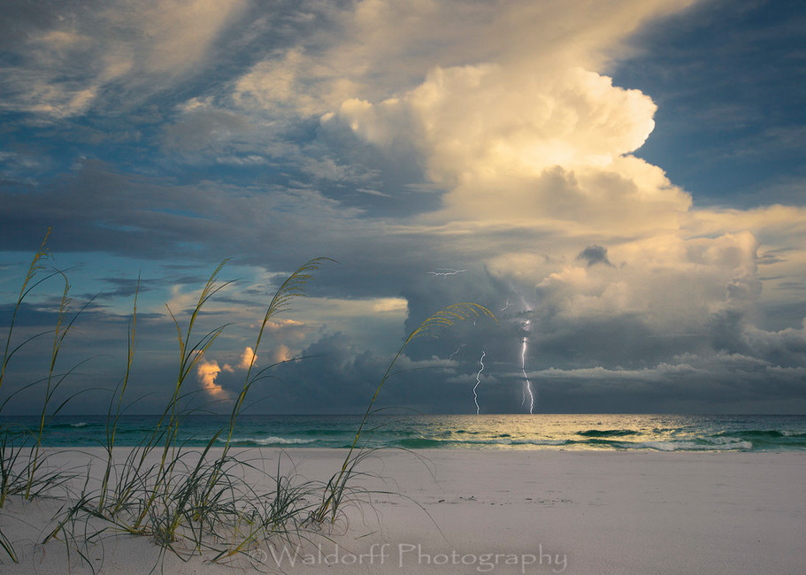 Lightning and Sea Oats | Gulf Islands National Seashore, Florida - Fine Art Prints on Canvas, Paper, Metal, and Acrylic | Waldorff Photography