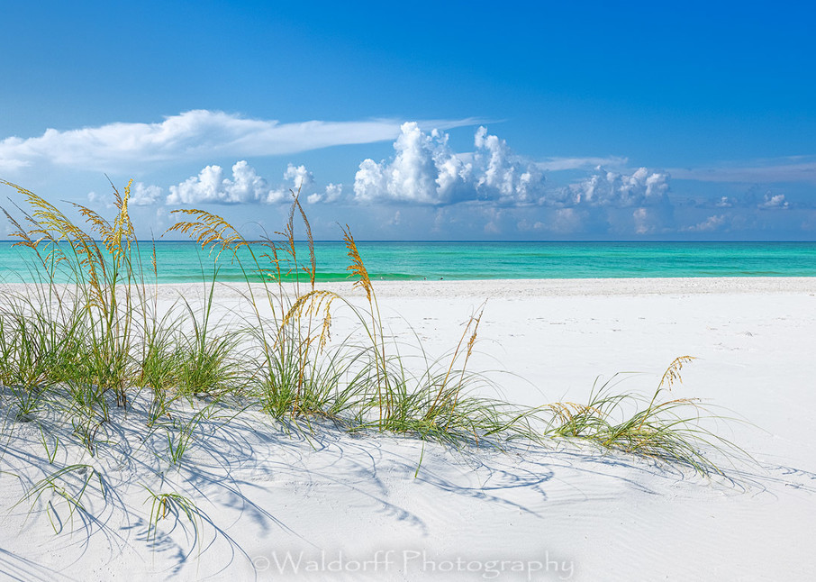Sea Oats & Emerald Green Water | Emerald Coast, Florida  | Fine Art Landscape Photography on Canvas, Paper, Metal, Acrylic | Photography by Jeff Waldorff