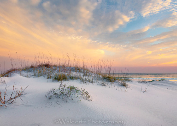 Sand Dune Sunrise| Gulf Islands National Seahsore, Florida | Fine Art Prints on Canvas, Paper, Metal, & More | Waldorff Photography