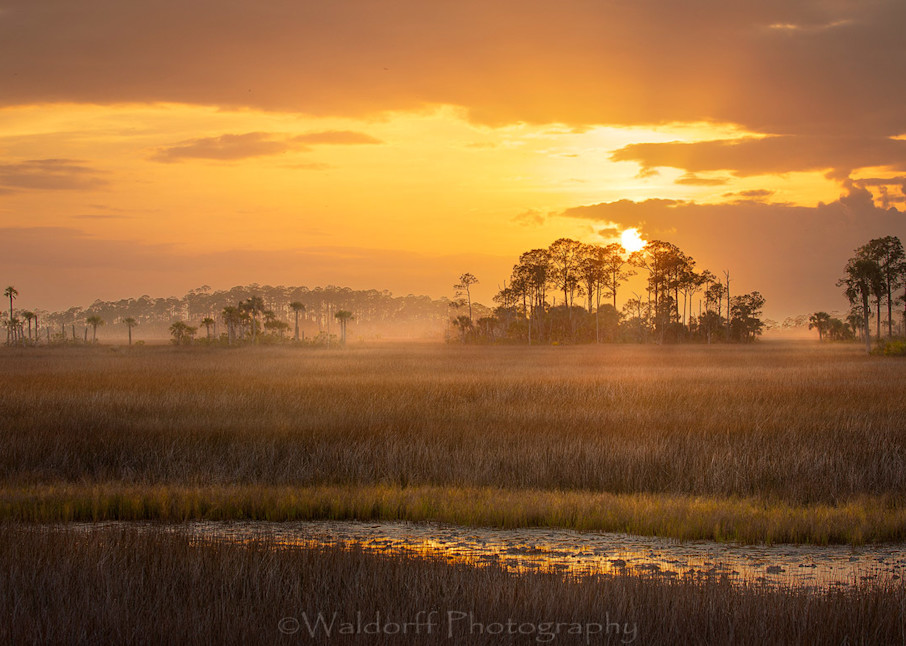 Sunset at the salt marsh | St. Marks, Florida | Fine Art Landscape Photography on Canvas, Paper, Meta, Acrylic | Photography by Jeff Waldorff