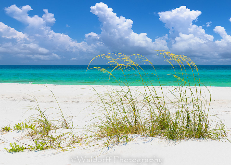Sea Oats, White Sand, &  Emerald Green Water | Emerald Coast, Florida  | Fine Art Landscape Photography on Canvas, Paper, Metal, Acrylic | Photography by Jeff Waldorff