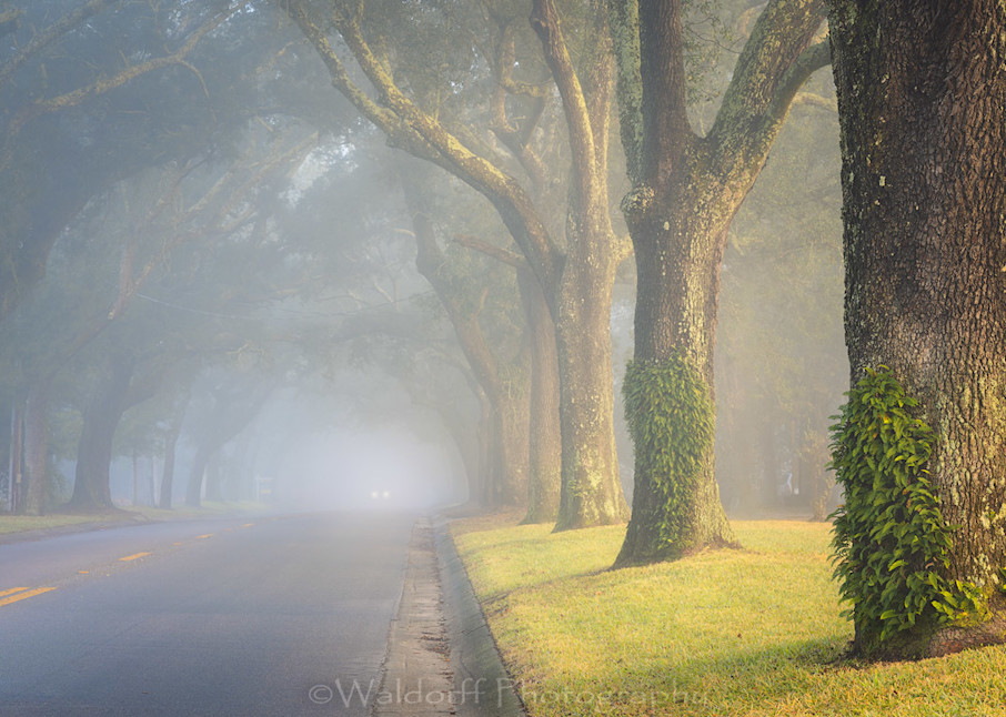 12th Avenue | Pensacola of Northwest Florida | Fine Art Prints on Canvas, Paper, Metal, and Acrylic by Waldorff Photography.