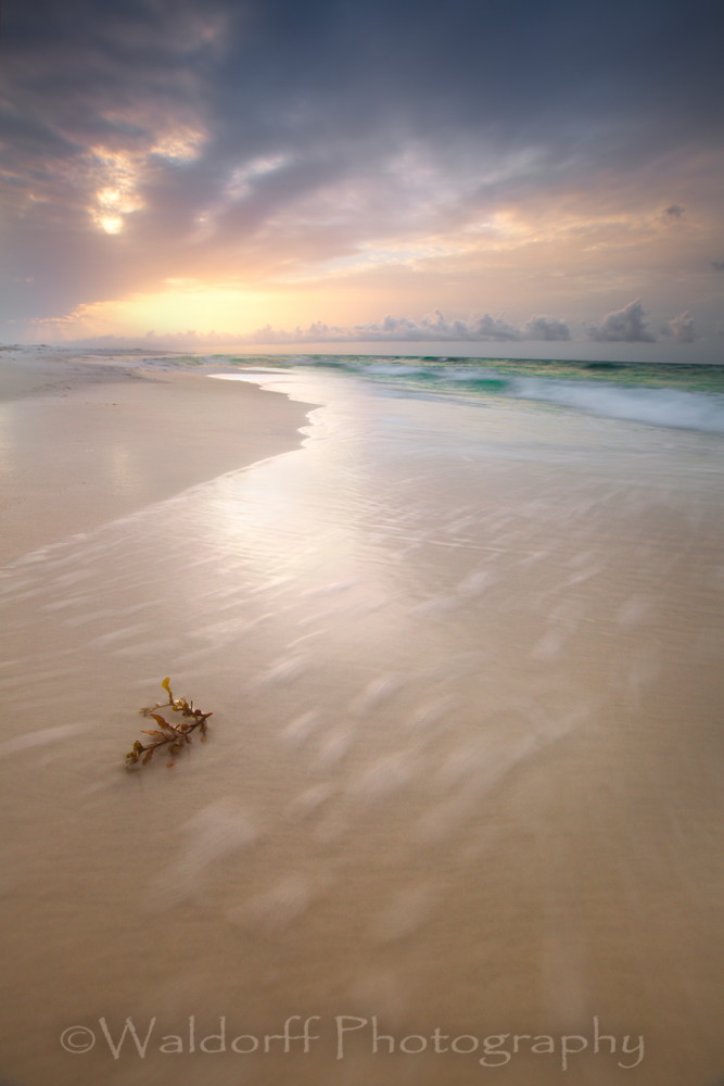 Gentle Waves