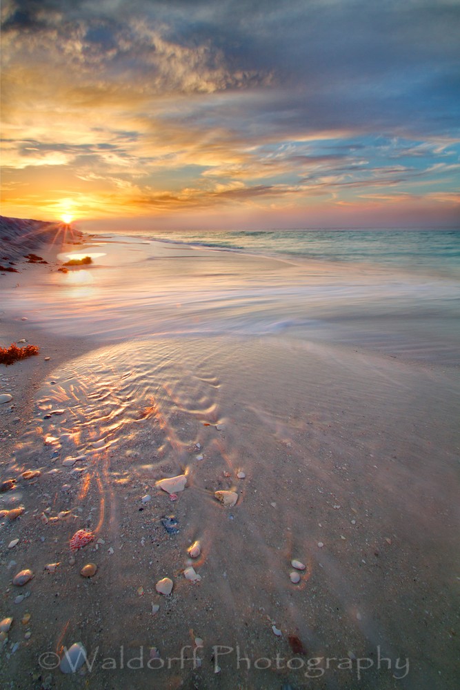 Sea Shell Hunt