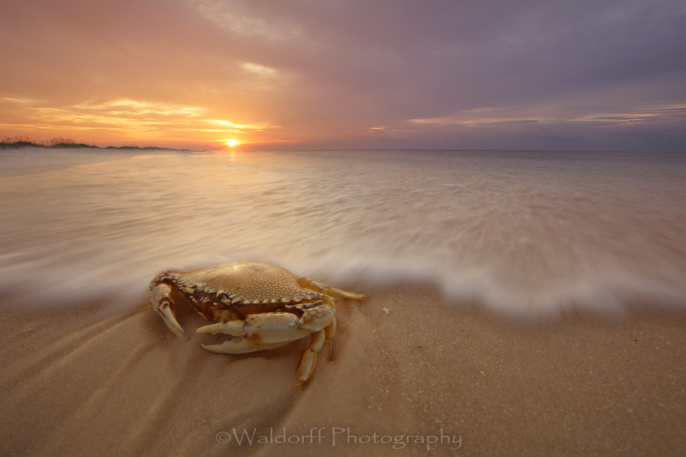 Incoming Tide