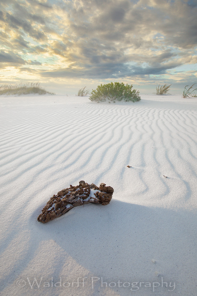 Drifting Sands