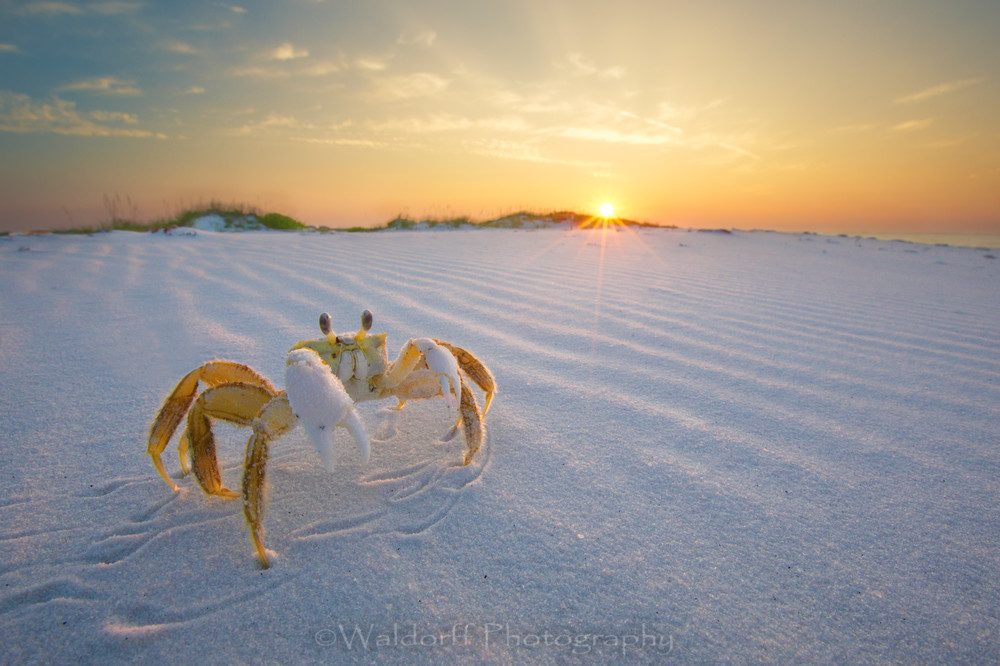Walking the Sun