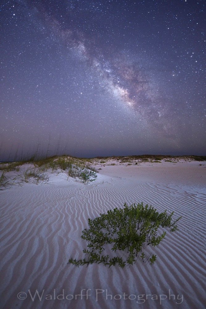 Starlit Beach Fine art Photo | Waldorff Photography
