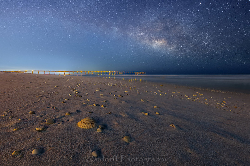 Shells In The Night (21 Ac) Photography Art | Waldorff Photography