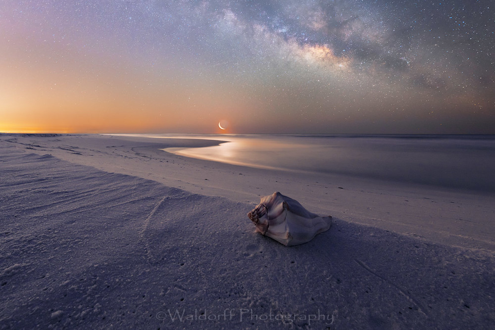 Shell, Moon, And Stars Photography Art | Waldorff Photography
