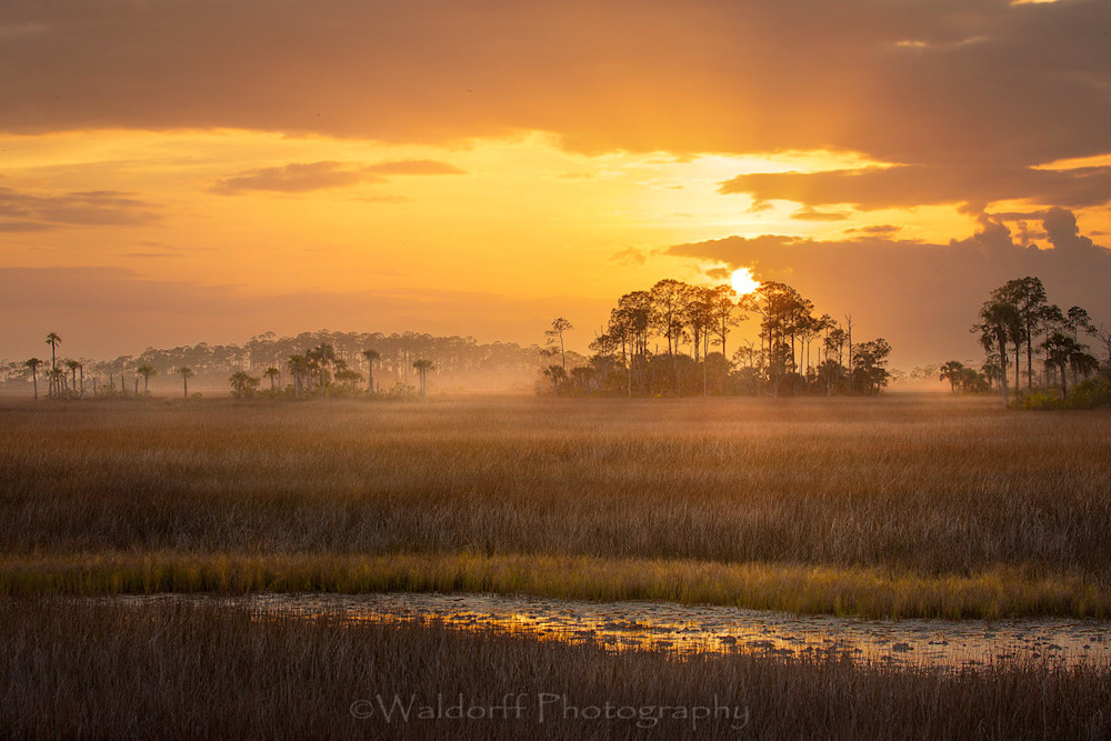 Sunset at the salt marsh | St. Marks, Florida | Fine Art Landscape Photography on Canvas, Paper, Meta, Acrylic | Photography by Jeff Waldorff