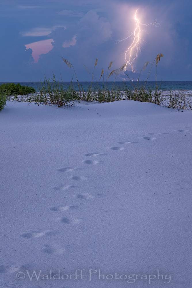 Lightning Dance (21 Au) Photography Art | Waldorff Photography