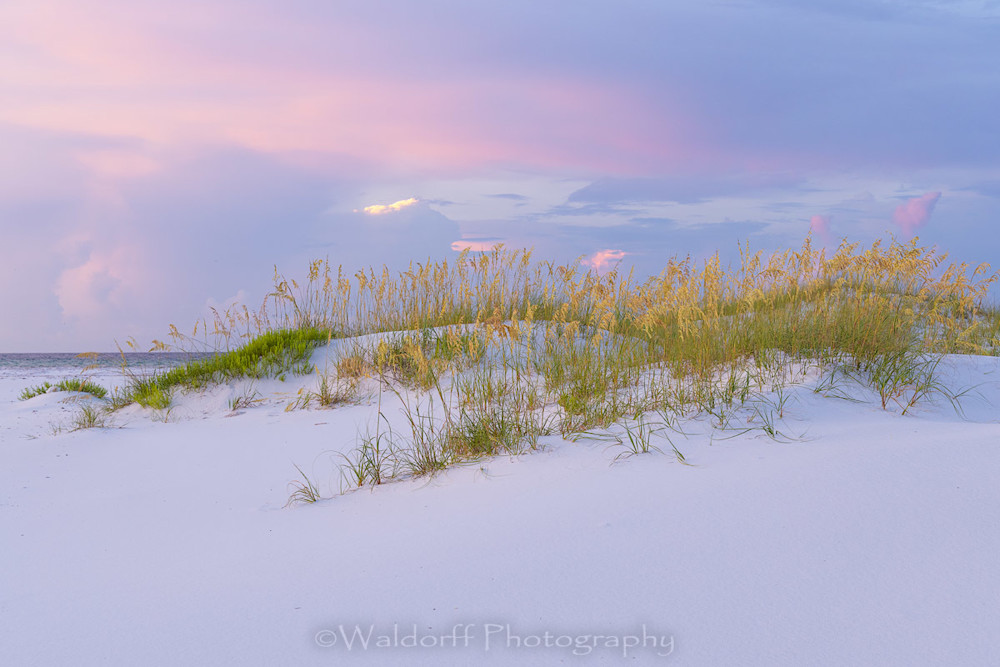 Pastel Dunes | Gulf Islands National Seashore, Florida  | Fine Art Landscape Photography on Canvas, Paper, Metal, Acrylic | Photography by Jeff Waldorff