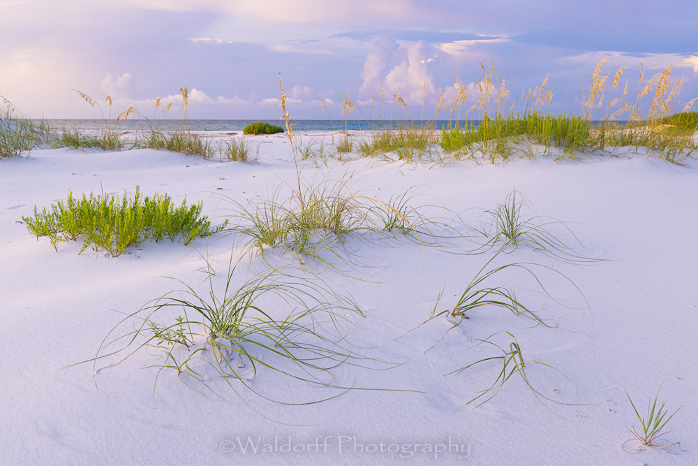 Pastel Sands Photography Art | Waldorff Photography
