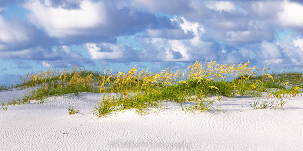 Clouds & Oats | Gulf Islands National Seashore, Florida  | Fine Art Landscape Photography on Canvas, Paper, Metal, Acrylic | Photography by Jeff Waldorff