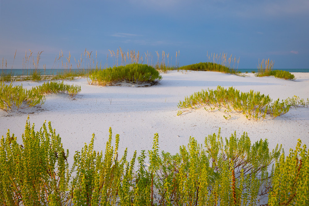 Paradise Beach | Gulf Islands National Seashore, Florida  | Fine Art Landscape Photography on Canvas, Paper, Metal, Acrylic | Photography by Jeff Waldorff