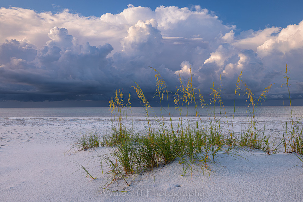 Unwavering Beauty | Gulf Islands National Seashore, Florida  | Fine Art Landscape Photography on Canvas, Paper, Metal, Acrylic | Photography by Jeff Waldorff