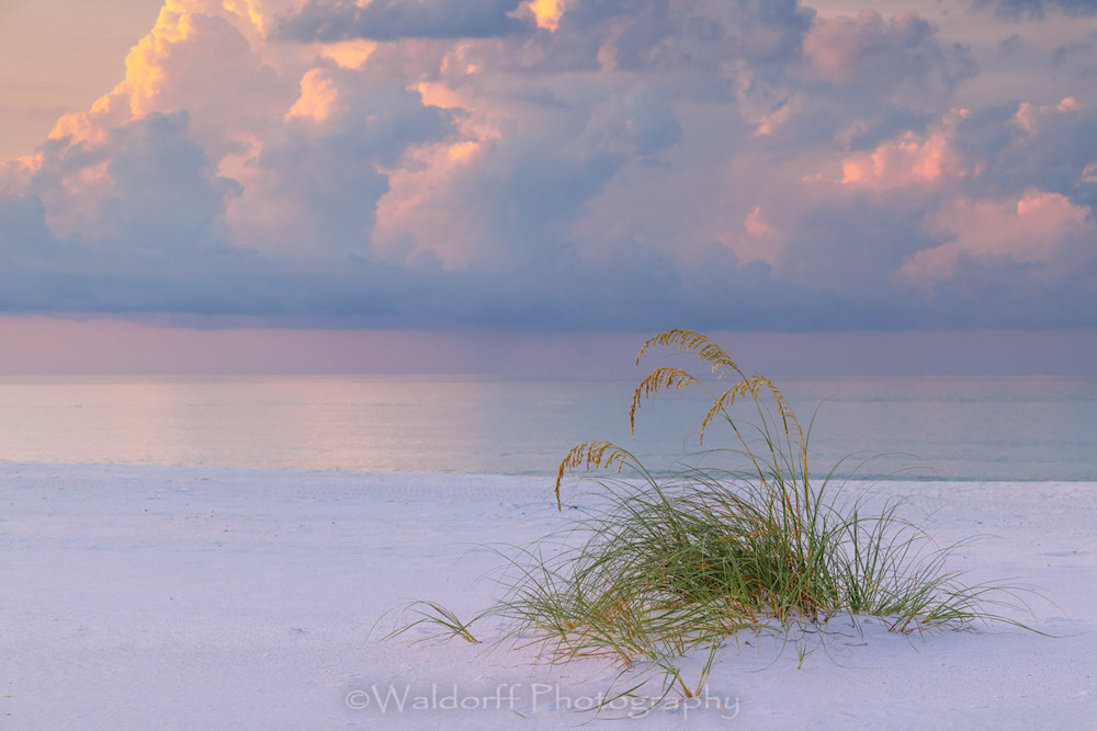 Standing Still | Gulf Islands National Seashore, Florida  | Fine Art Landscape Photography on Canvas, Paper, Metal, Acrylic | Photography by Jeff Waldorff