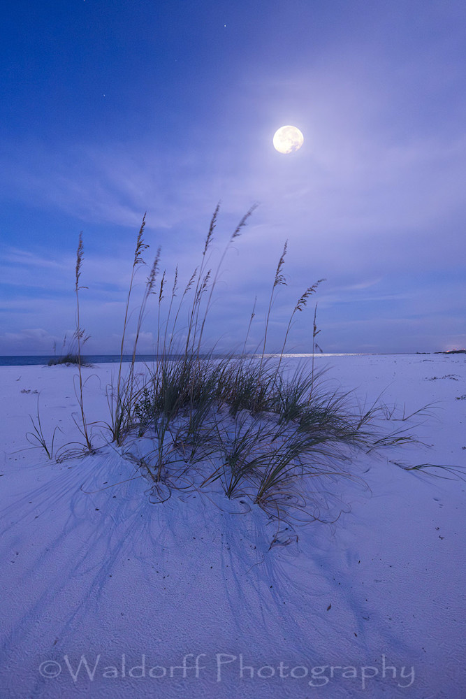 By the Light of the Moon | Gulf Islands National Seashore, Florida