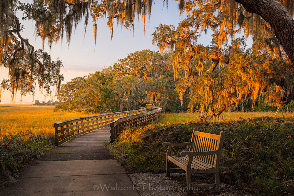 Jekyll Island Trail #2 | Georgia | Fine Art Landscape Photography on Canvas, Paper, Metal, Acrylic | Photography by Jeff Waldorff
