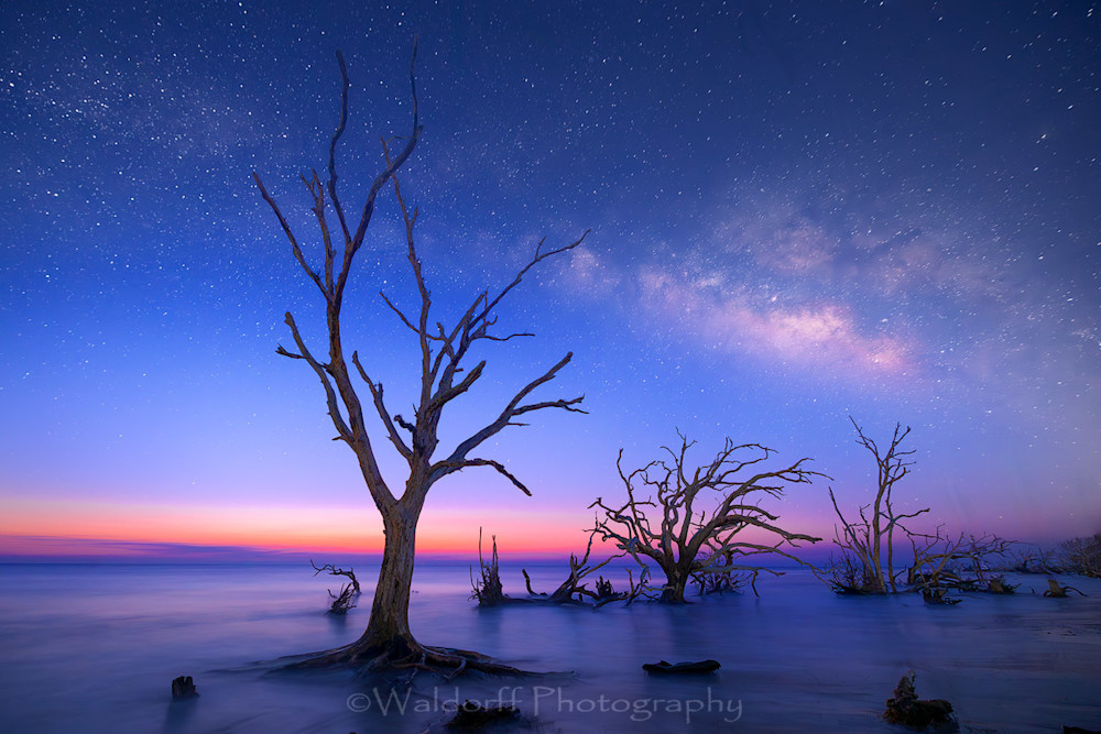 Driftwood Beach Astro #3 | Jekyll Island, Georgia | Fine Art Landscape Photography on Canvas, Paper, Metal, Acrylic | Photography by Jeff Waldorff