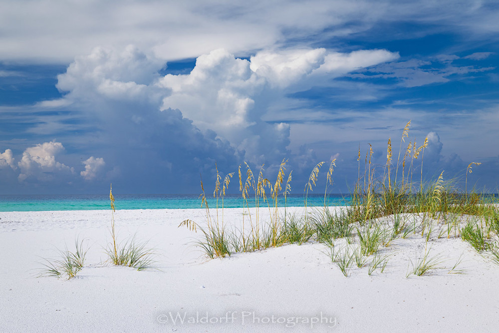 Beachscape Blue (25 Bn) Photography Art | Waldorff Photography