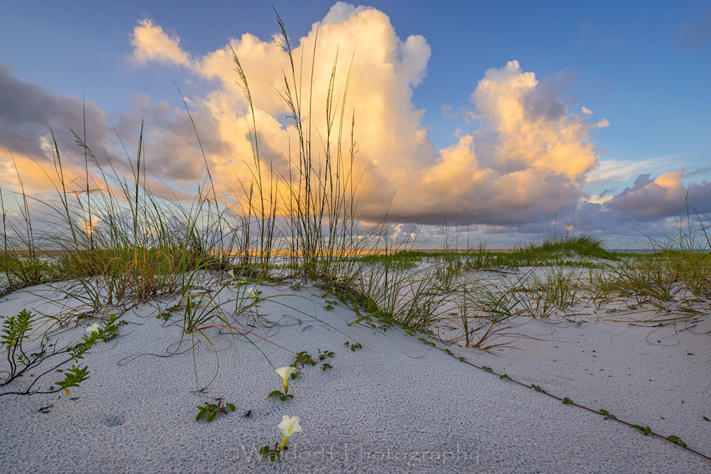 Dune Dancers  (25 Az) Photography Art | Waldorff Photography