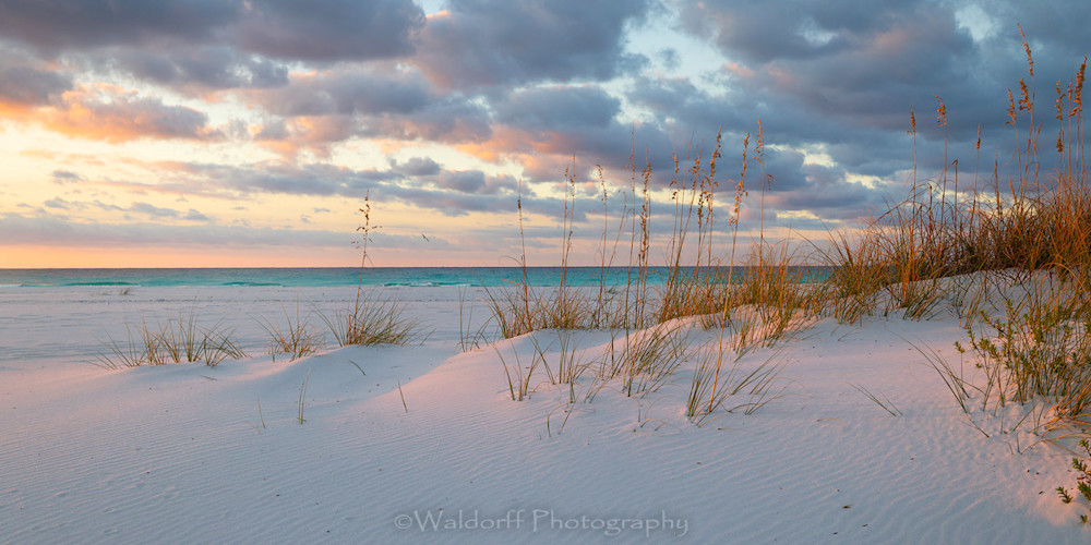 Waterline Whimsey (25 Bx) Photography Art | Waldorff Photography