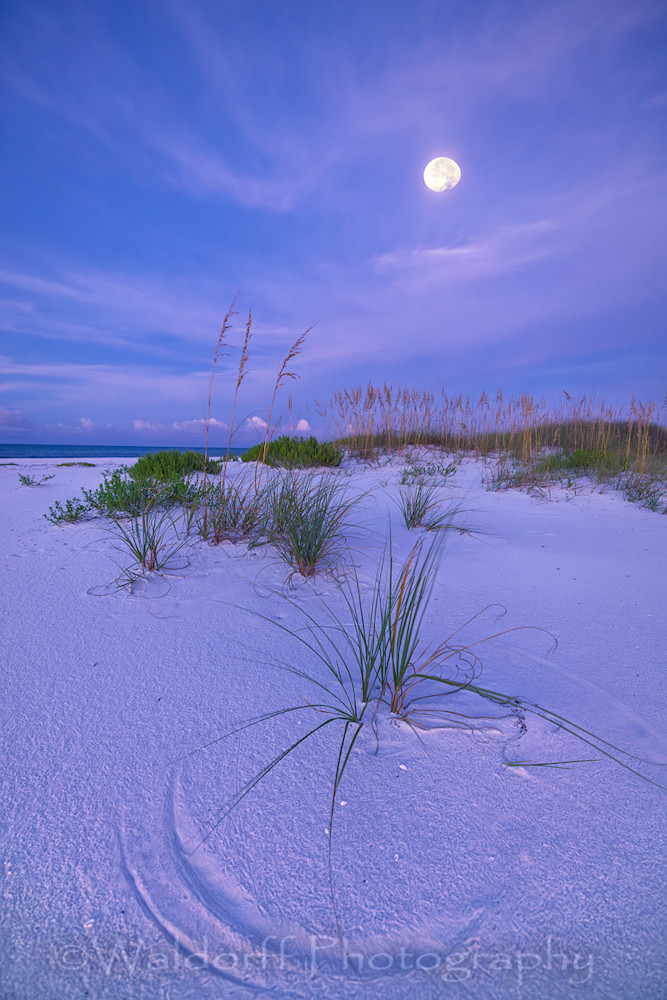 Moonbeam Lullaby  (25 Bq) Photography Art | Waldorff Photography