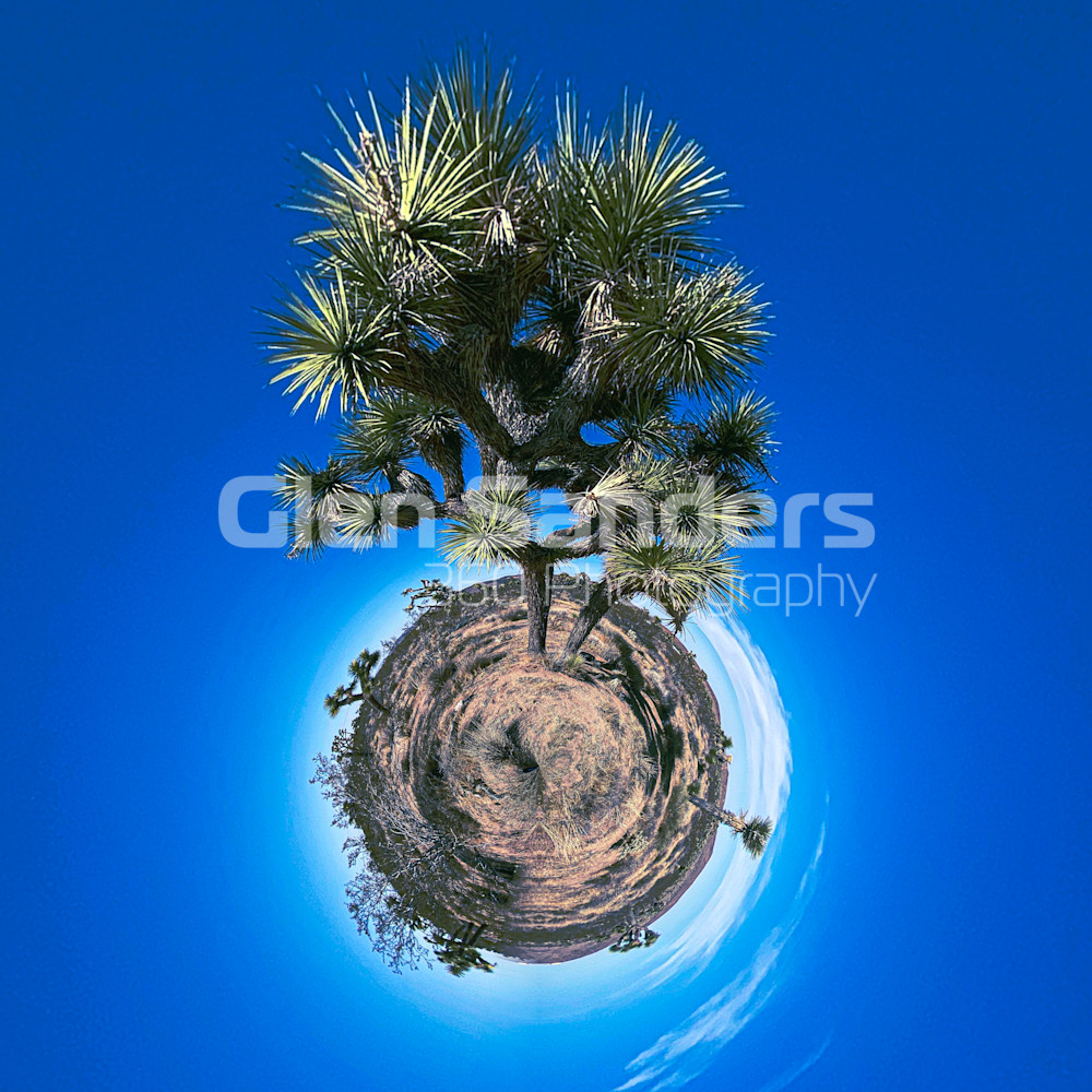 Joshua Tree Tiny Planet Photography Art | Glen Sanders 360 Photography