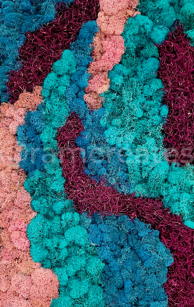 Corals Art | RAM Creates LLC