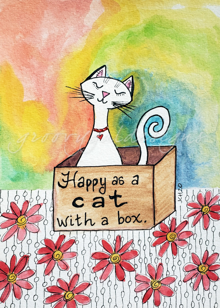 Happy As A Cat With A Box--Rainbow Swirl