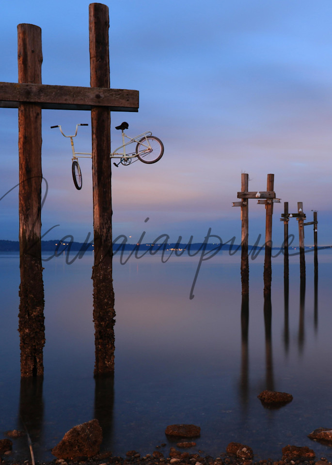Dm Remnants & The Bike Art | Kanaiaupune Photography