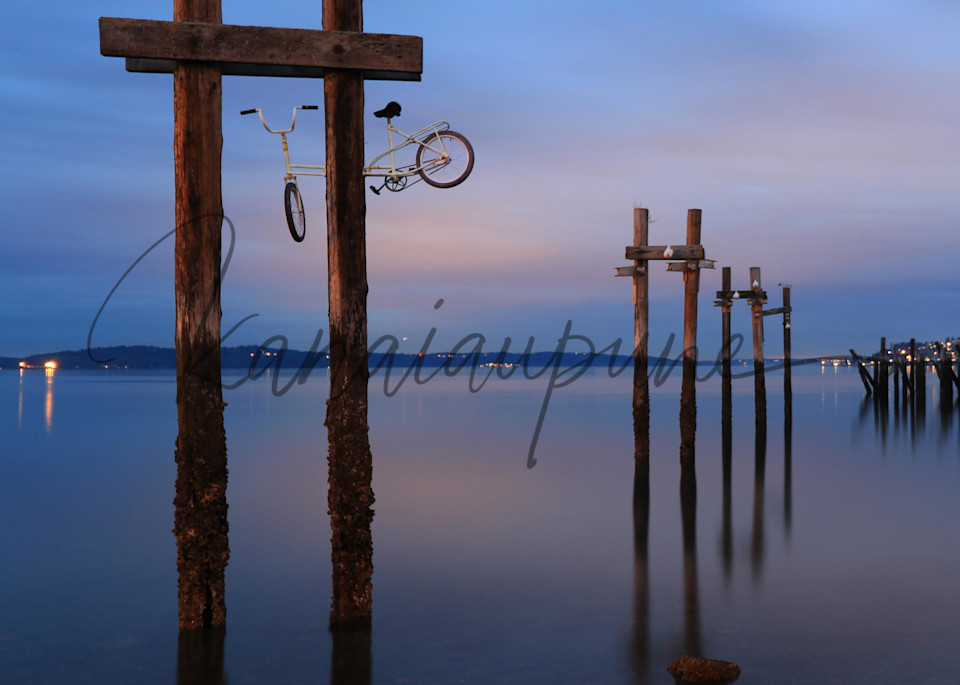 Dm Remnants & The Bike Art | Kanaiaupune Photography