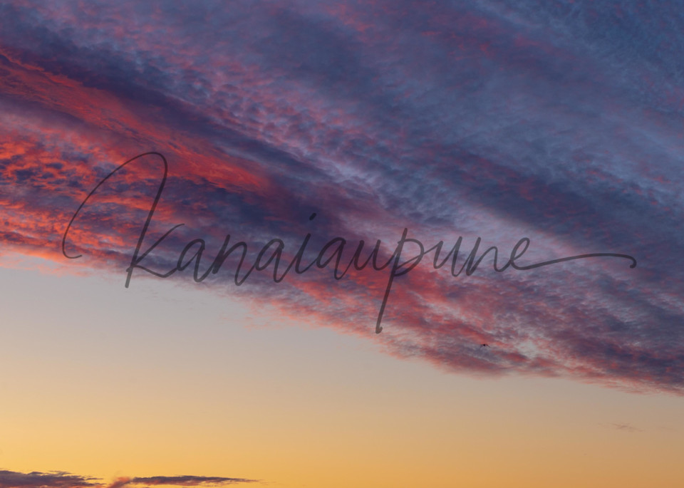 Pastel Window Art | Kanaiaupune Photography