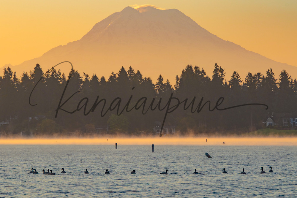 American Lake Gathering Art | Kanaiaupune Photography