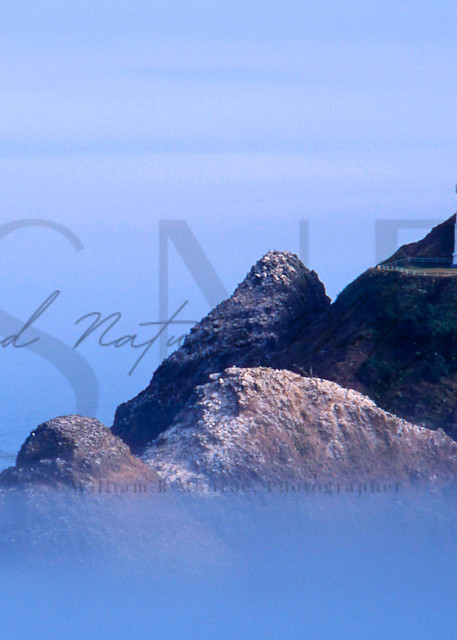 Haceta Head Lighthouse   Oregon Photography Art | Second Nature Photography