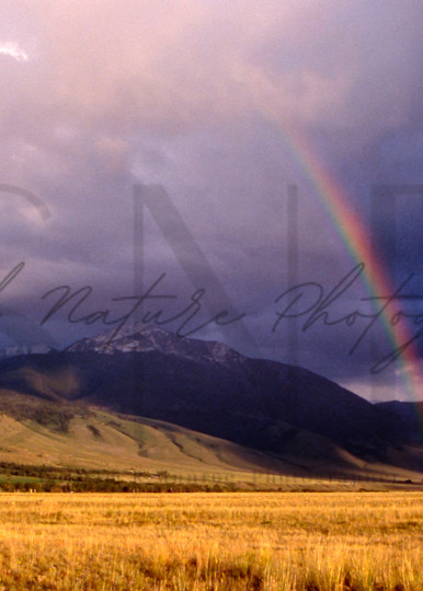 Paradise Valley, Montana Photography Art | Second Nature Photography