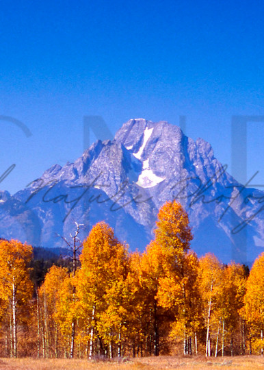 Mt Moran, Wyoming Photography Art | Second Nature Photography