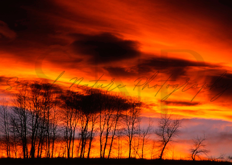 Montana Sunset   Bozeman Photography Art | Second Nature Photography