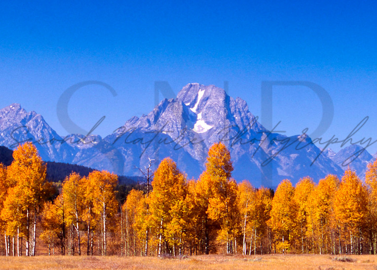 Mt Moran, Wyoming Photography Art | Second Nature Photography