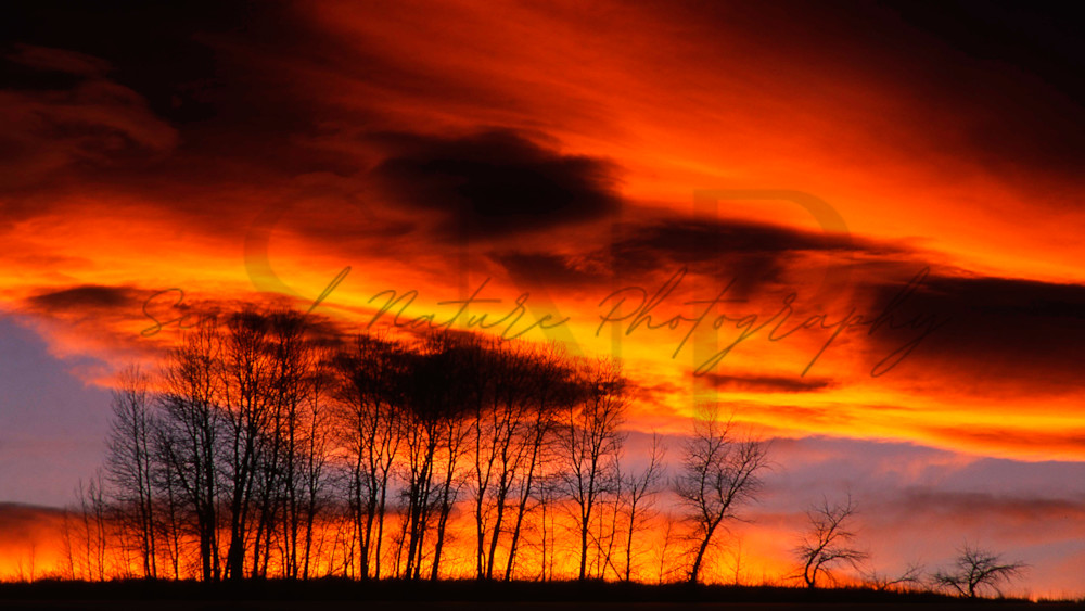 Montana Sunset   Bozeman Photography Art | Second Nature Photography