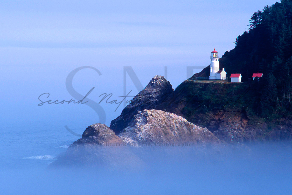 Haceta Head Lighthouse   Oregon Photography Art | Second Nature Photography